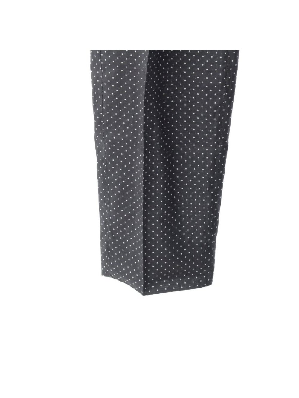 Celine Phoebe Philo Era Dot Pattern Transparent Pleated Pants with Belt 2 Black - Picture 4 of 10